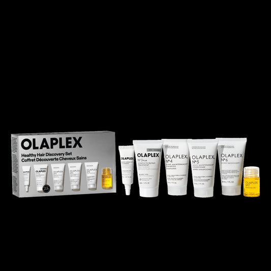THE HEALTHY HAIR DISCOVERY SET