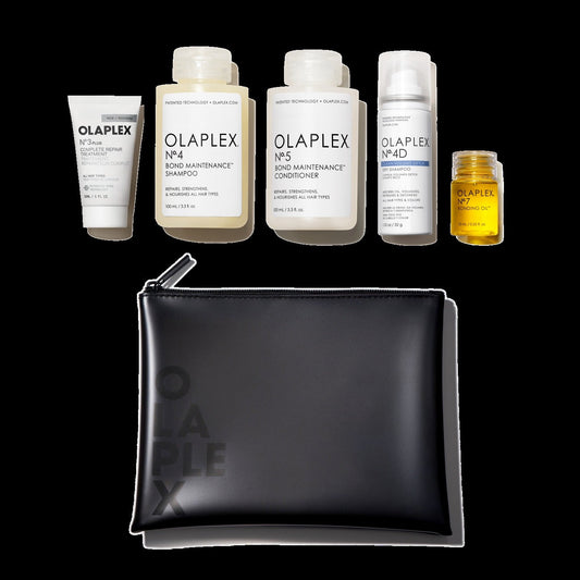 THE HEALTHY HAIR TRAVEL SET