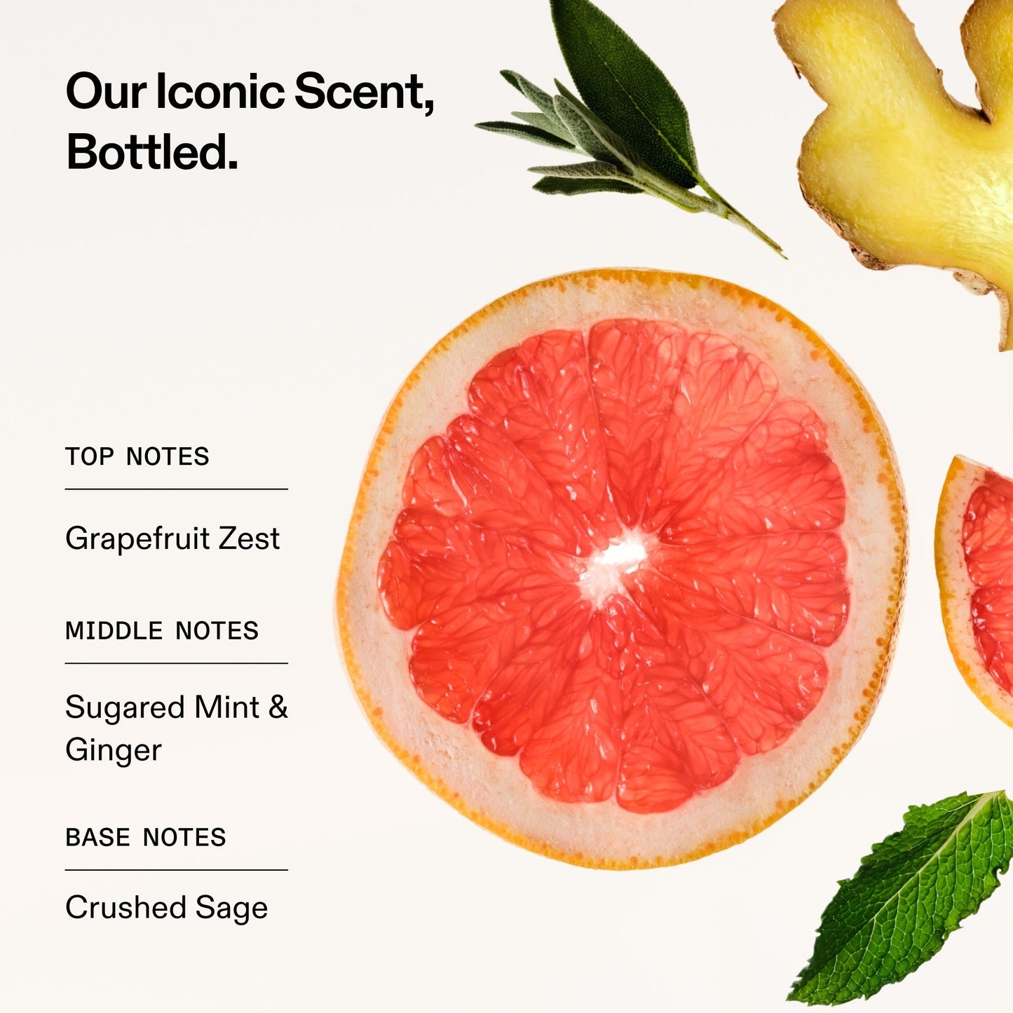 SIGNATURE HAIR & BODY FRAGRANCE MIST